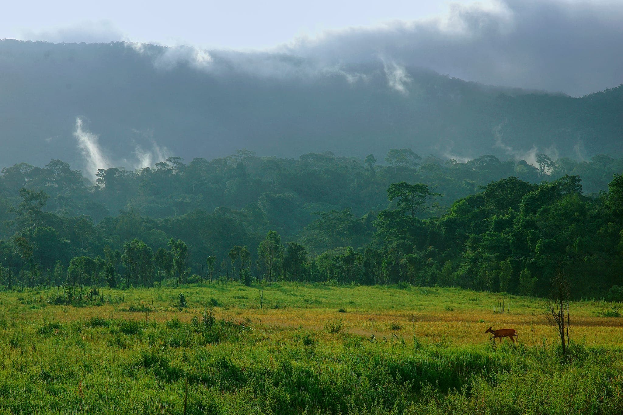 อุทยานแห่งชาติเขาใหญ่
