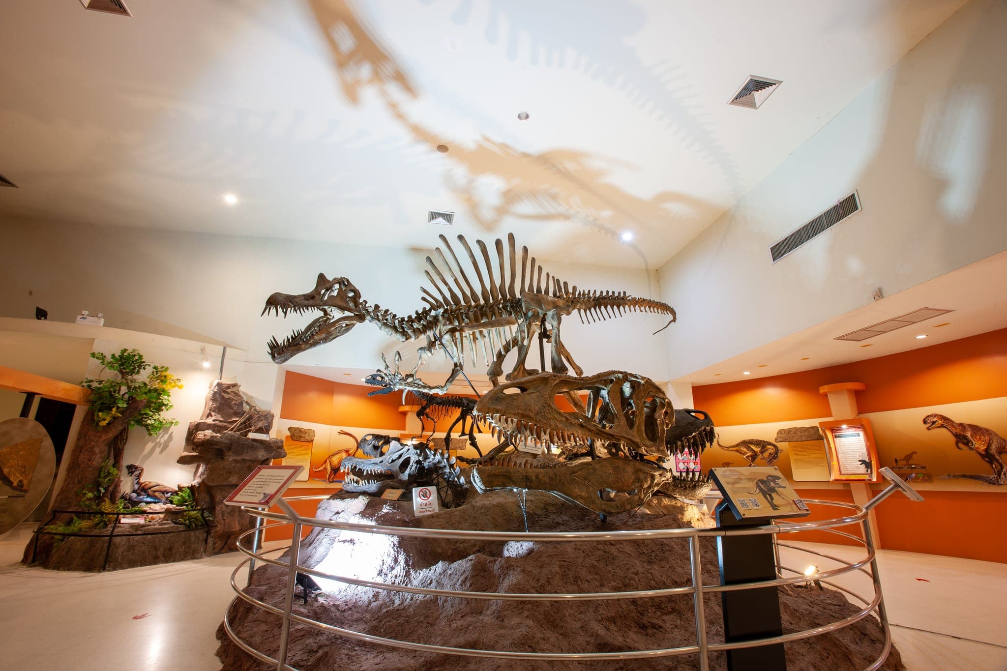 พิพิธภัณฑ์ไม้กลายเป็นหิน ช้างดึกดำบรรพ์ และไดโนเสาร์